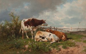 Três vacas em um prado