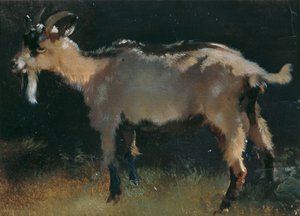 Cabra