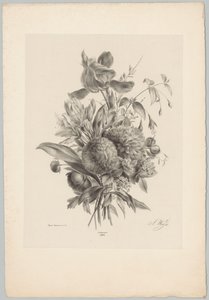 Cravos e lírios
Flor e Fruta Studien (...) 10ª prestação (título da série) de Anton Weiss