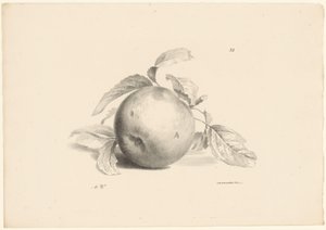 Appel
Fruta (título da série)
