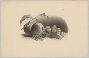 Maçãs, bagas, amoras e uvas
Estudos de Flores e Frutos (...) 3ª prestação (título da série) de Anton Weiss