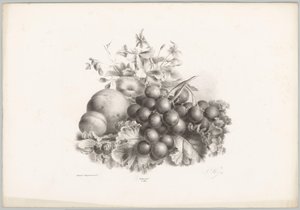 Flores, pêssego, nectarina, uvas e amoras silvestres
Estudos de Flores e Frutos (...) 10ª prestação (título da série) de Anton Weiss