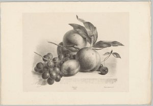 Uvas, ameixas, pêssegos e cerejas
Flor e Fruta Studien (...) 10ª edição (título da série) de Anton Weiss