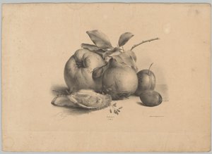 Frutas, ameixas e ostras Estudos de Flores e Frutos (...) 10º episódio (título da série) de Anton Weiss