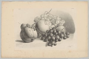 Abóbora, bagas, uvas e pêssegos
Estudos de Flores e Frutos (...) 3ª prestação (título da série)