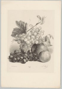 Uvas vermelhas e brancas e maçãs
Flor e Fruta Studien (...) 10ª edição (título da série)