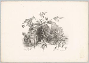 Rosas, dahlias e fúcsia
Flor e Fruta Studien (...) 10ª prestação (título da série)