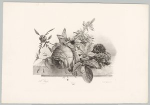 Rosas, lírios, flores em forma de sino e borboleta Estudos de Flores e Frutos (...) 10º episódio (título da série) de Anton Weiss