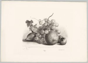 Figos, uvas e laranjas
Estudos de Flores e Frutos (...) 10ª prestação (título da série)