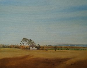 Casa e Campos, 2016 de Antonia Myatt