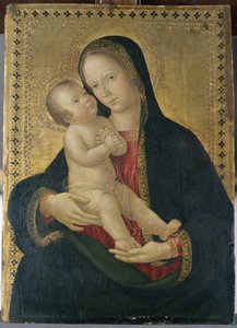 Madonna and Child, c.1480-85 (tempera em madeira de choupo)