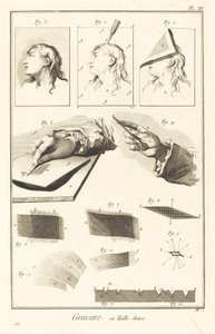 Gravura em entalhe: pl. III de Antonio Baratta after A. J. de Fehrt