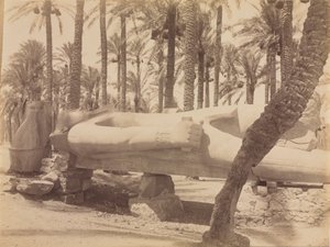 Estátua de Ramsés em Saqqara de Antonio Beato
