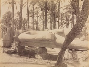 Estátua de Ramsés em Saqqara, c. 1870 - 1880. de Antonio Beato