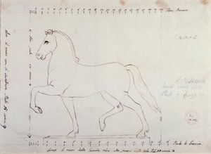 Estudo para um cavalo para um monumento equestre (desenho de Antonio Canova