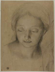 Cabeça de mulher de Antonio Cavallucci