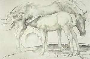 Cavalos em Coolmore, 1990 (carvão sobre papel)