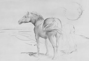 Cavalos em Coolmore, 1990 (carvão sobre papel) de Antonio Ciccone