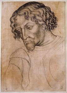Busto de homem barbudo, três quartos da cabeça inclinada para a esquerda. Desenho da oficina Antonio di Puccio Pisano dit Pisanello (1395-1455). Pena (desenho), sangue. Dim: 28x20cm. Louvre, desenho firme. de Antonio Pisanello