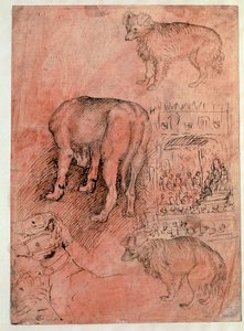 Estudos caninos. Episódio aulico. Desenho de Antonio Pisano dit il Pisanello (1380-1455) de Antonio Pisanello