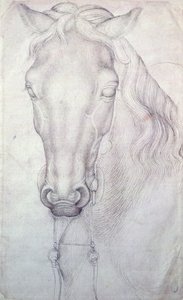 Cabeça de cavalo de Antonio Pisanello