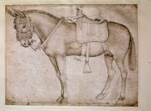 Arnês de mula. Desenho de Antonio Pisano dit il Pisanello (1380-1455) de Antonio Pisanello