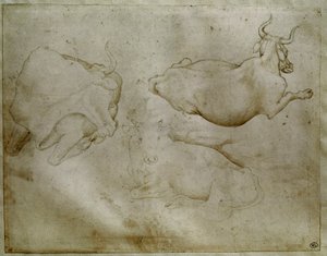 Duas vacas e um zimbro. Desenho de Antonio di Puccio Pisano dit Pisanello (1395-1455). Pergaminho, ponta de metal. Altura: 17,6 cm. Louvre, Cabinet des medailles de Antonio Pisanello