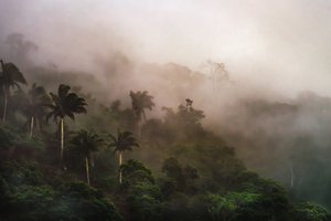 Corcovado XIX, 2020 (digital photo) de Antonio Schubert