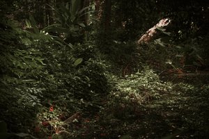 Luz e sombras, 2025 (fotografia digital)