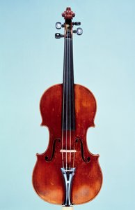 Violino