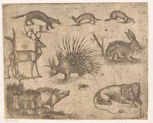 Folha de estudo com diferentes animais de Antonio Tempesta (attributed to)
