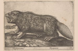 Beber Hipopótamo (título no objeto) Dieren en fablewezens (título da série) Nova raccolta de li animali piu curiosi del mondo (título da série)
