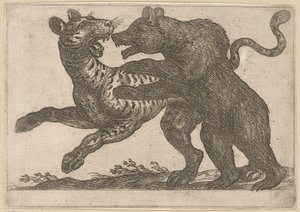 Um urso lutando contra um tigre Animais de luta (título da série) de Antonio Tempesta