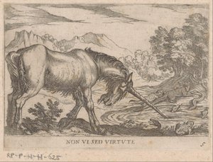 Um unicórnio persegue lagartos de uma lagoa Virtude não vista (título no objeto) Animais de luta (título da série) de Antonio Tempesta