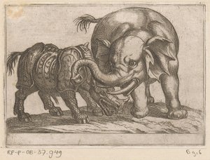 Um rinoceronte luta contra um elefante
Animais de combate (título da série) de Antonio Tempesta