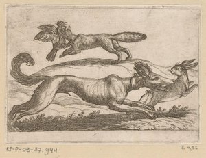 Uma raposa ataca uma galinha e um cachorro ataca uma lebre Animais de luta (título da série) de Antonio Tempesta
