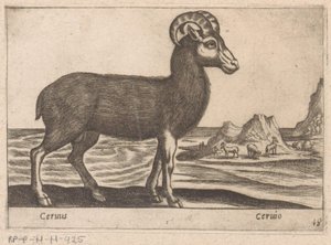 Gemas Cerinis / Ceruio (título no objeto) Dieren en fabelwezens (título da série) Nova coleção dos animais mais curiosos do mundo (título da série) de Antonio Tempesta