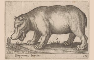hipopótamo Hippopotamus/Ippopotamo (título no objeto) Animais e criaturas míticas (título da série) Nova raccolta de li animali piu curiosi del mondo (título da série) de Antonio Tempesta