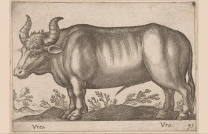 Redondo Vres/ Vro (título no objeto) Animais e criaturas míticas (título da série) Nova raccolta de li animali piu curiosi del mondo (título da série) de Antonio Tempesta