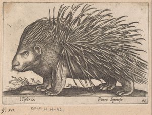 Stekelvarken
Hijstrix/ Porco Spinoso (título sobre o objecto)
Dieren en fabelwezens (título da série)
Nova raccolta de li animali più curiosi del mondo (título da série) de Antonio Tempesta