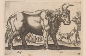 Stier
Vrus/ Vro (título sobre o objecto)
Dieren en fabelwezens (título da série)
Nova raccolta de li animali più curiosi del mondo (título da série) de Antonio Tempesta