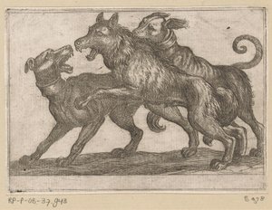 Dois cães a lutar contra um lobo
Animais de combate (título da série) de Antonio Tempesta