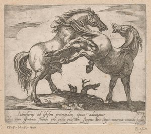 Dois cavalos de acasalamento
Cavalos de diferentes países (título da série)
O seu ducibus princeps celebrraberis ore viroru illa homines beat haec sideribusq locat (título da série)