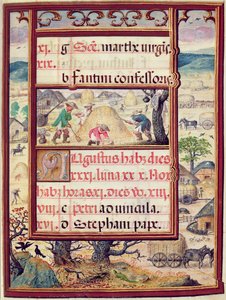 The month of August, miniatures from Livro de Horas de Dom Manuel, 1517-38 (tempera on vellum) de Antonio de Hollanda