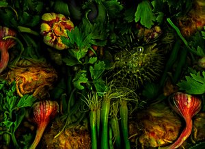  de Antonius Antonius