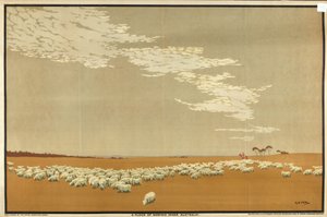Um rebanho de ovelhas Merino - Austrália, da série "Australia