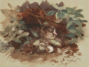 paisagem de Archibald Thorburn