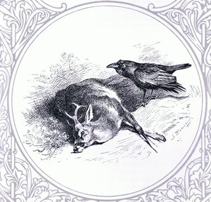 Deer and Raven, pub. por Book Club Associates de Archibald Thorburn