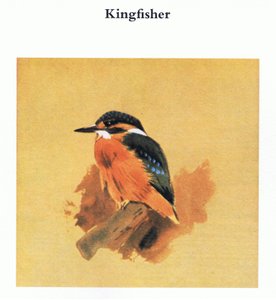 Martim-pescador, pub. por Book Club Associates, 1972 de Archibald Thorburn