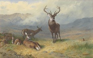 Monarca do Glen de Archibald Thorburn